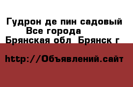 Гудрон де пин садовый - Все города  »    . Брянская обл.,Брянск г.